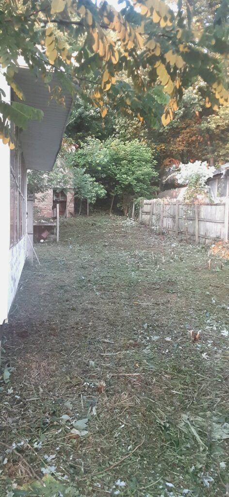 Shot of the big back yard. 