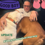 Kidney Transplant Update: Waiting with Faith, Gratitude, and Hope